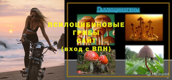 гидропоника Абдулино